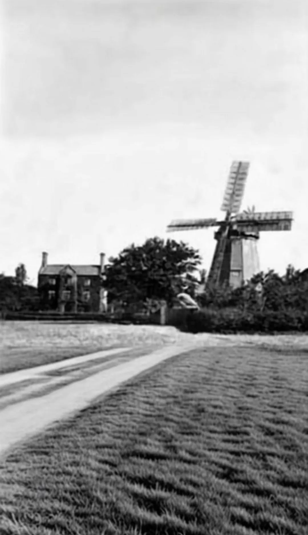 An instagram post of a windmill in a field. This is a video on the history of Mill House in Wells-next-the-Sea.